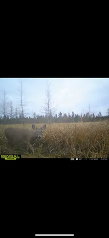 Tbd 30th Avenue Isle MN 56342