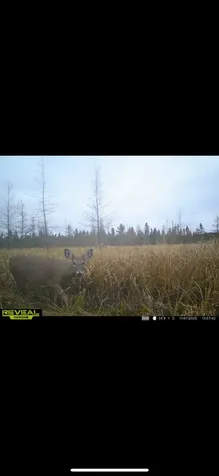 Tbd 30th Avenue Isle MN 56342