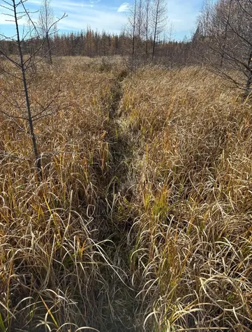 Tbd 30th Avenue Isle MN 56342