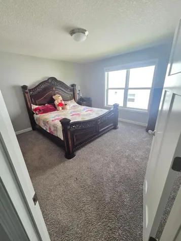 12839 Fraizer Street NE Blaine MN 55449