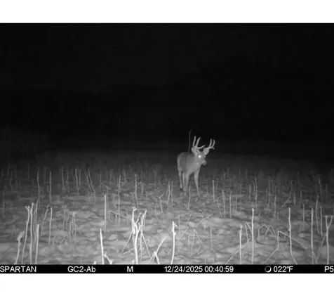 S1689 County Road Xx Alma WI 54610