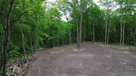 Tbd 380th Street Dent MN 56528