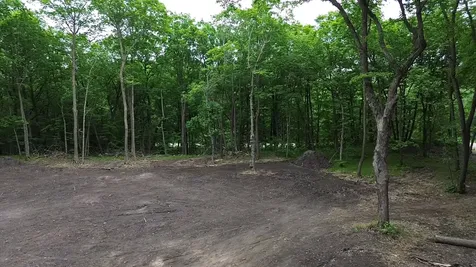 Tbd 380th Street Dent MN 56528