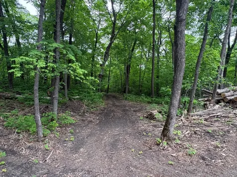 Tbd 380th Street Dent MN 56528