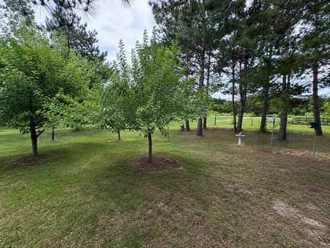 116 West Avenue Ottertail MN 56571