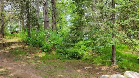 550 Shady Shores Trail NW Pine River MN 56474