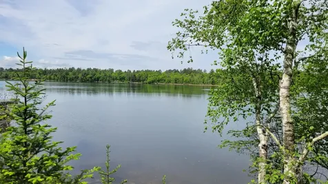 550 Shady Shores Trail NW Pine River MN 56474