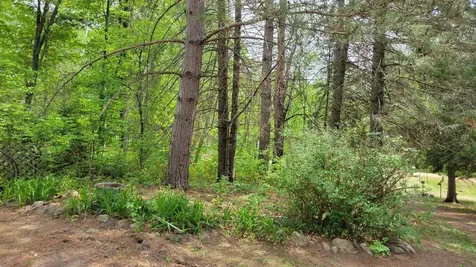 550 Shady Shores Trail NW Pine River MN 56474