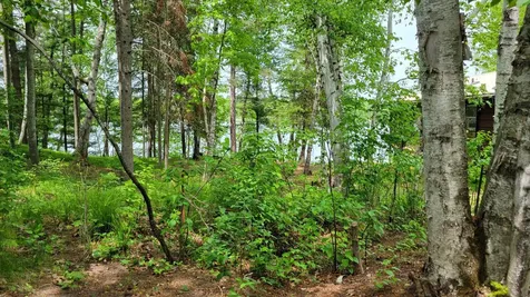 550 Shady Shores Trail NW Pine River MN 56474