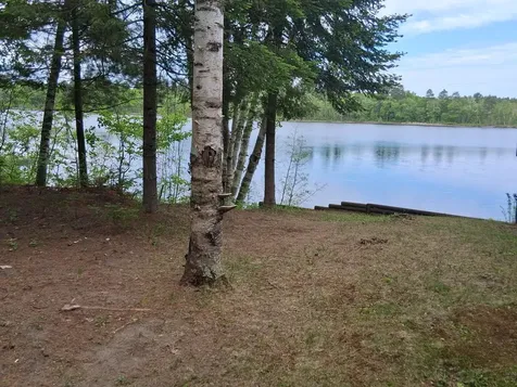 550 Shady Shores Trail NW Pine River MN 56474