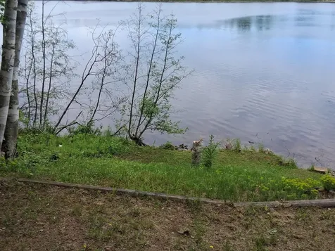 550 Shady Shores Trail NW Pine River MN 56474