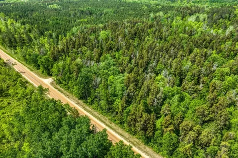 56786 194th Street Park Rapids MN 56470