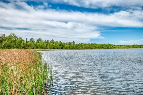 56786 194th Street Park Rapids MN 56470