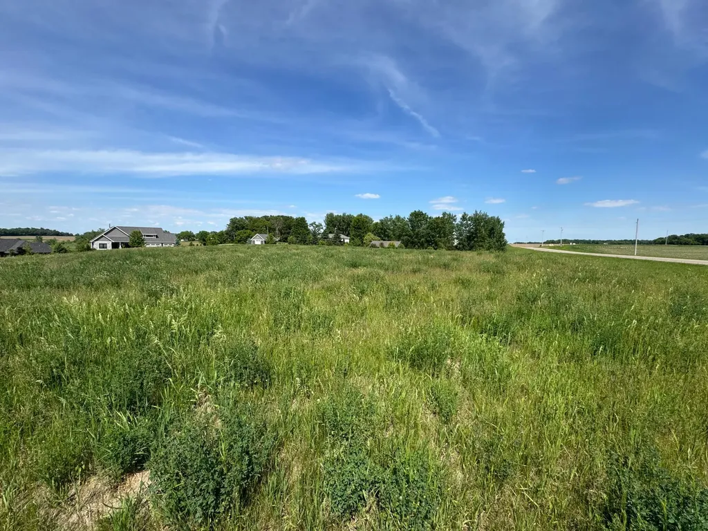 Tbd 267th Street Racine MN 55967
