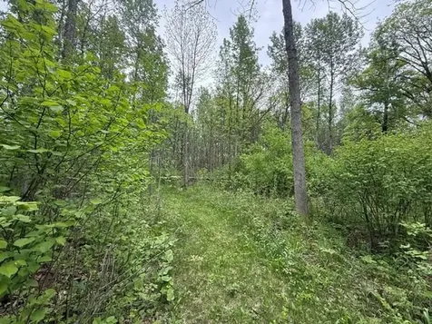 40781 County 2 Bagley MN 56621