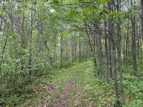 40781 County 2 Bagley MN 56621
