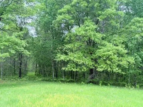 40781 County 2 Bagley MN 56621