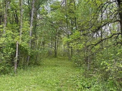 40781 County 2 Bagley MN 56621
