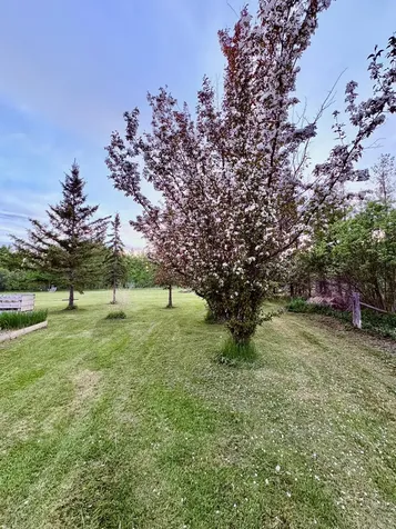 4325 94th Avenue NW Roosevelt MN 56673