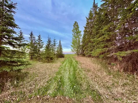 4325 94th Avenue NW Roosevelt MN 56673