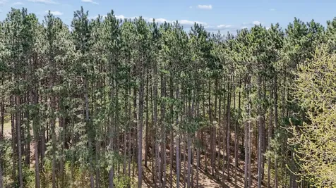 4320 217th Avenue NE Cedar MN 55011