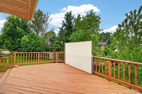 13806 Zarthan Court Savage MN 55378