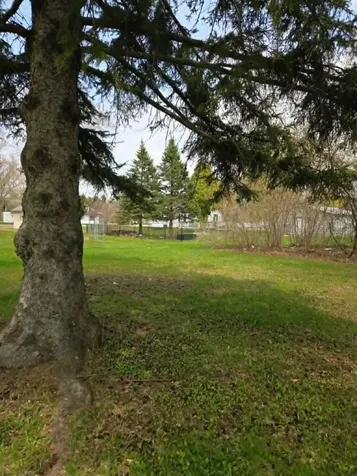 8 Birch Street NE Remer MN 56672