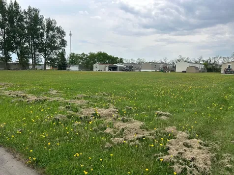 Tbd 2nd Street W Thief River Falls MN 56701