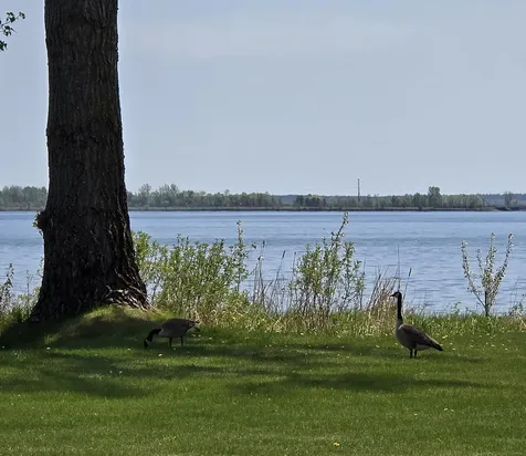 5882 Lakeshore Lane NW Cass Lake MN 56633
