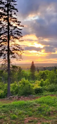 5241 Hut Two Road Finland MN 55603