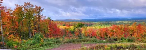 5241 Hut Two Road Finland MN 55603