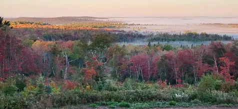 5241 Hut Two Road Finland MN 55603