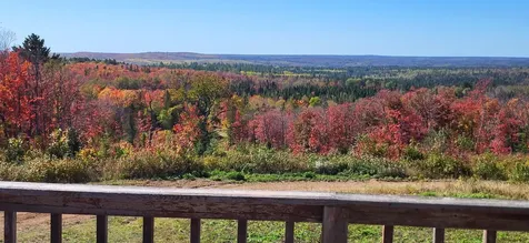 5241 Hut Two Road Finland MN 55603