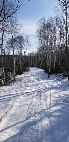 5241 Hut Two Road Finland MN 55603