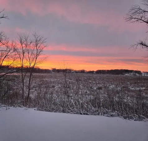 102 Arrowhead Road Emmons MN 56029
