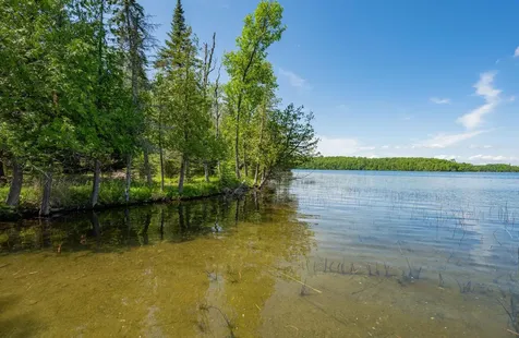 51301 Pine Point Road Bigfork MN 56628