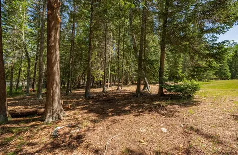 51301 Pine Point Road Bigfork MN 56628