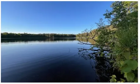 12384 Sunset Drive Crosslake MN 56442