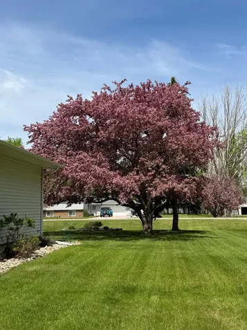 1301 60th Avenue N Moorhead MN 56560