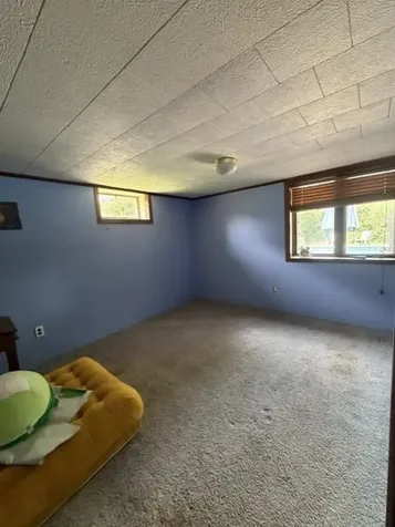 8042 73rd Street S Cottage Grove MN 55016