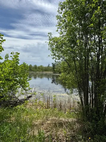 1469 Woodland Loop NW Baudette MN 56623