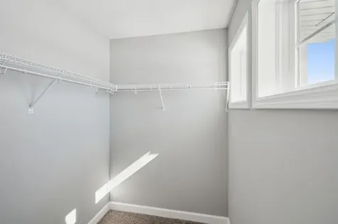1907 Dogwood Court Carver MN 55315