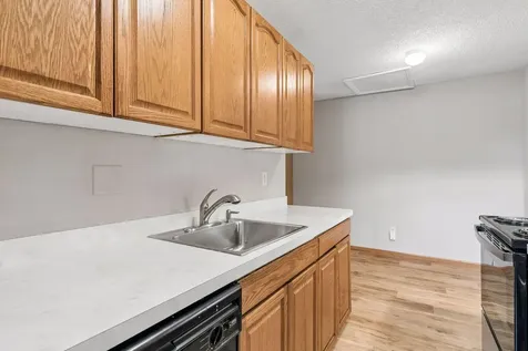 1318 Landmark Trail N Hopkins MN 55343