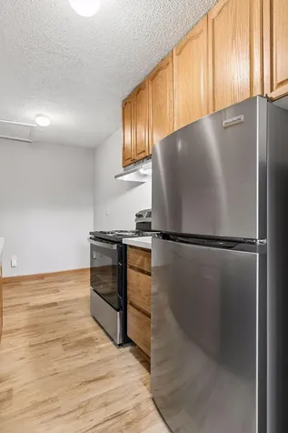 1318 Landmark Trail N Hopkins MN 55343