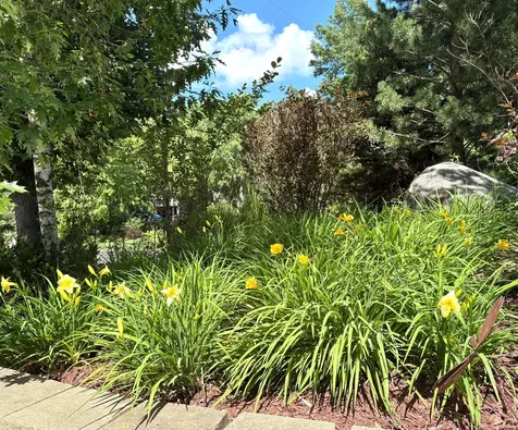 4015 Hosford Hills Road Eagan MN 55123