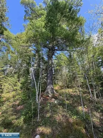 6309 Winston Road Tower MN 55790
