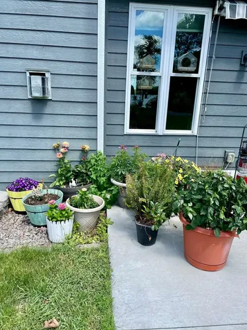 36074 Long Shore Trail Frazee MN 56544