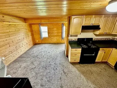 31336 & 31338 Rasmussen Road Pequot Lakes MN 56472