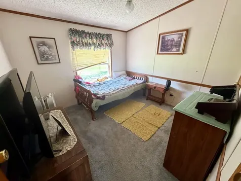 8912 Carpenter Road Angora MN 55703