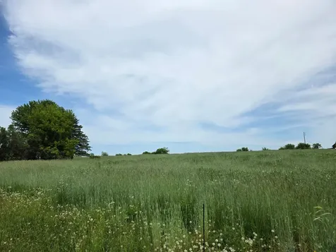 Tbd (L1B3) Prairie Crest Court SW Rochester MN 55902